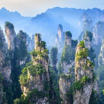 Forest Adventure China